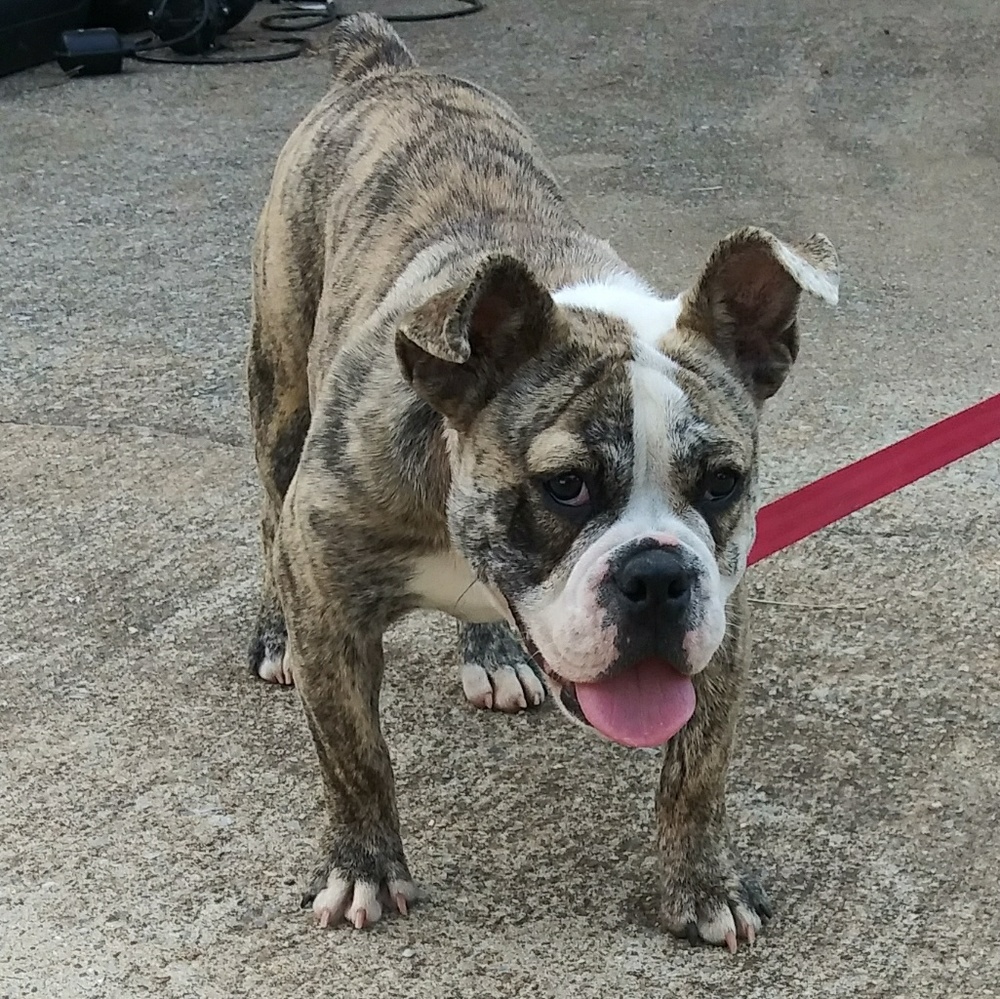 From my closet to yours!